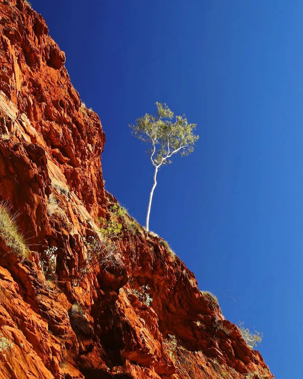 Feastronomics | How Many Days Do You Need in Alice Springs? 1-2 Days MacDonnell Ranges
