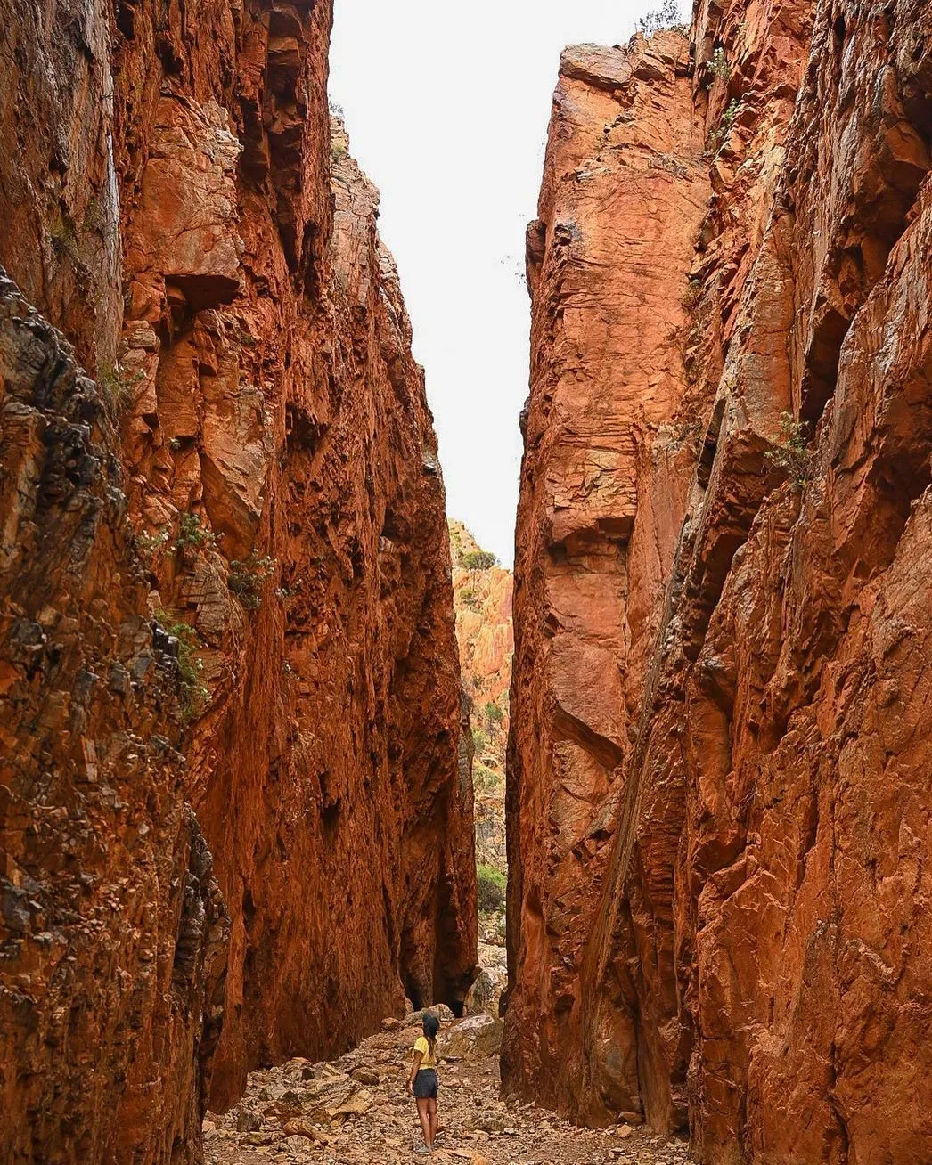 Feastronomics | How Many Days Do You Need in Alice Springs? Best Time to Visit Alice Springs