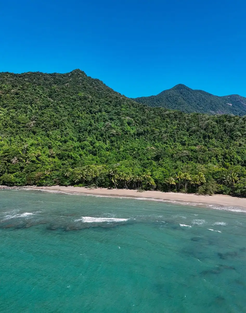 Cape Tribulation rainforest