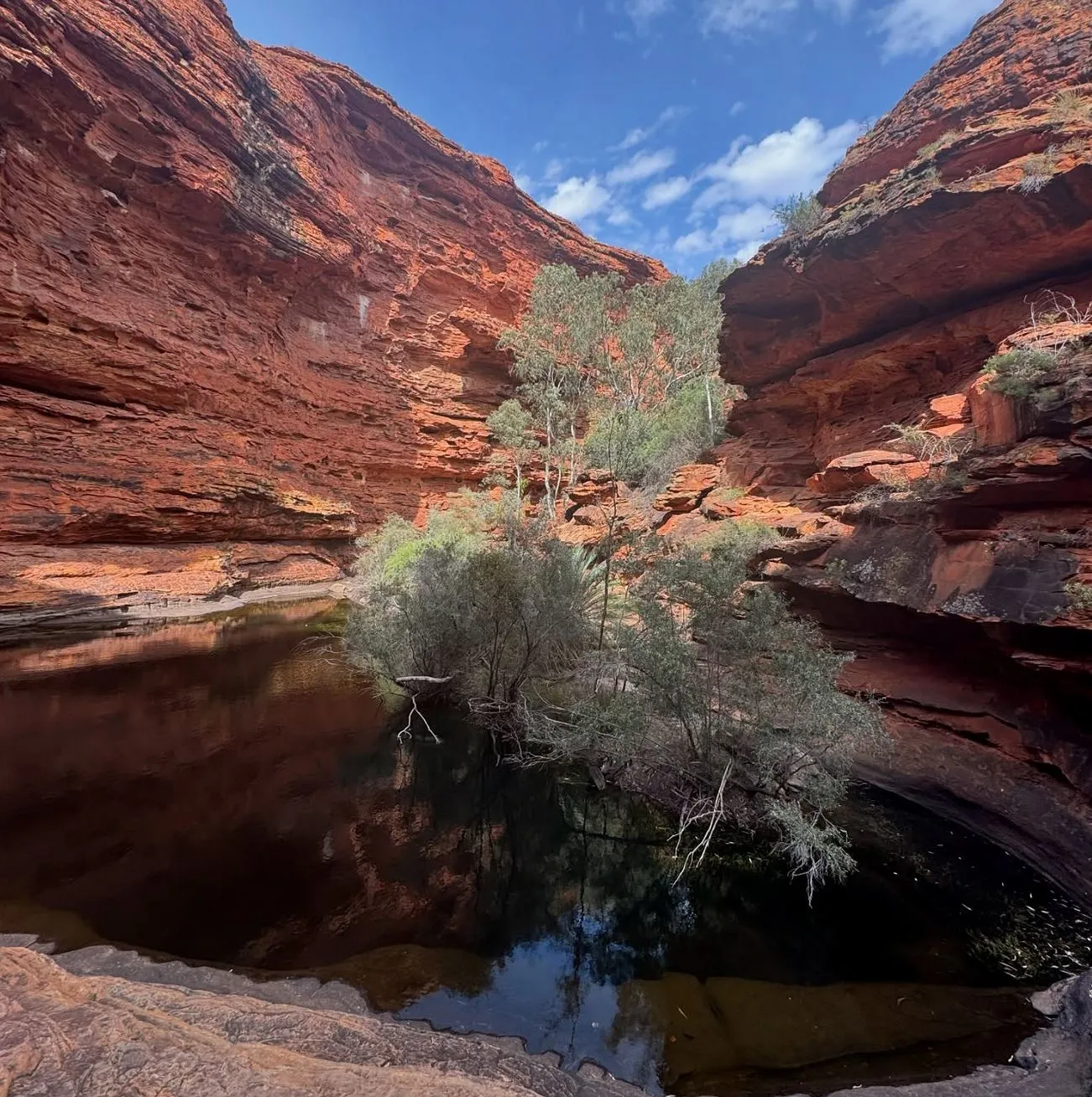 Health and Safety Kings Canyon Resort