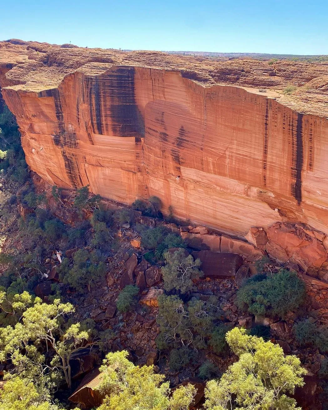 Helicopter Rides Kings Canyon