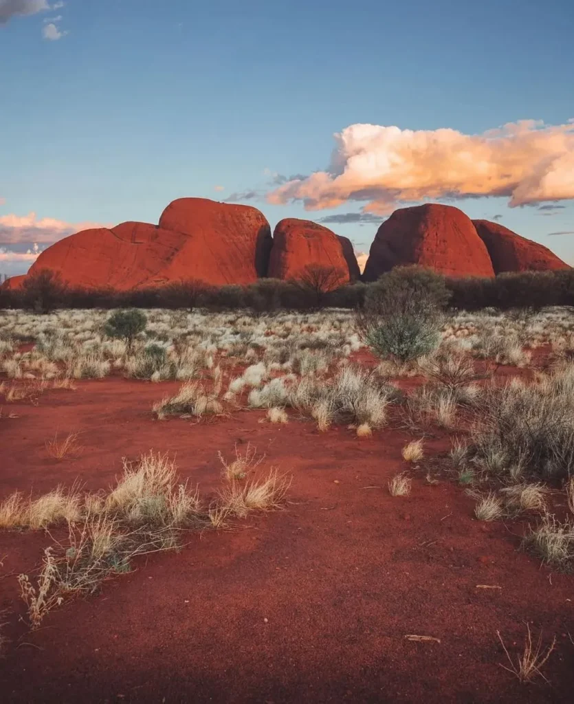 Feastronomics | Why is Alice Springs so popular? Kata Tjuta